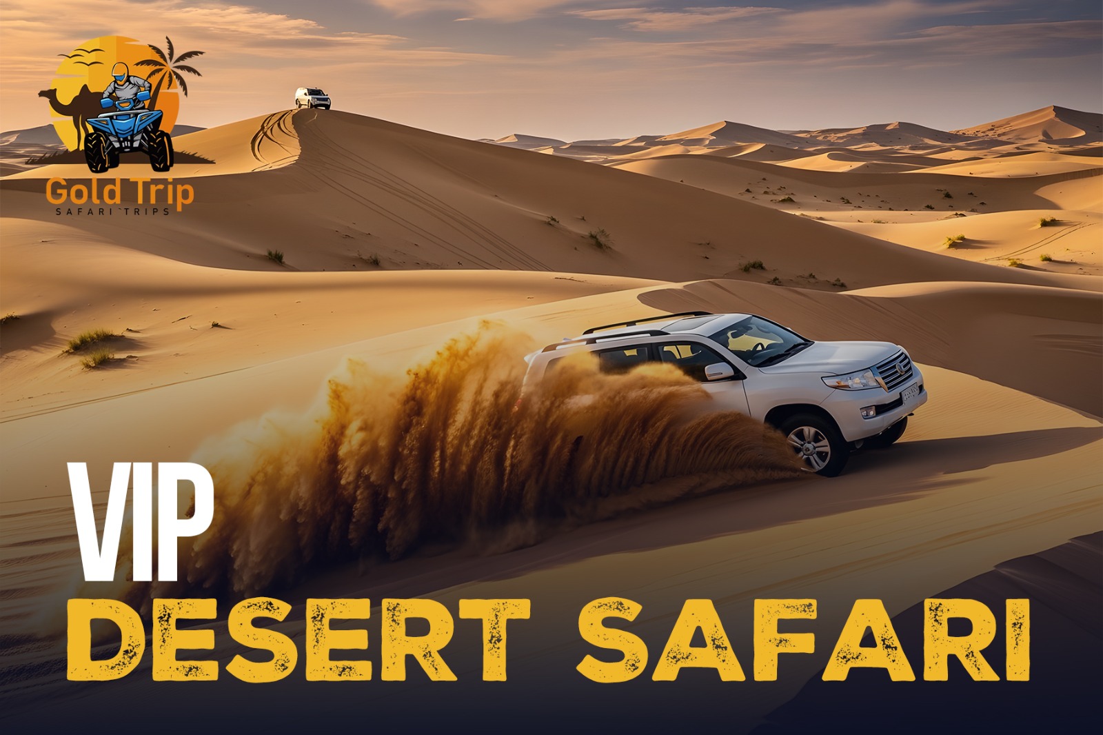 VIP Desert Safari with BBQ